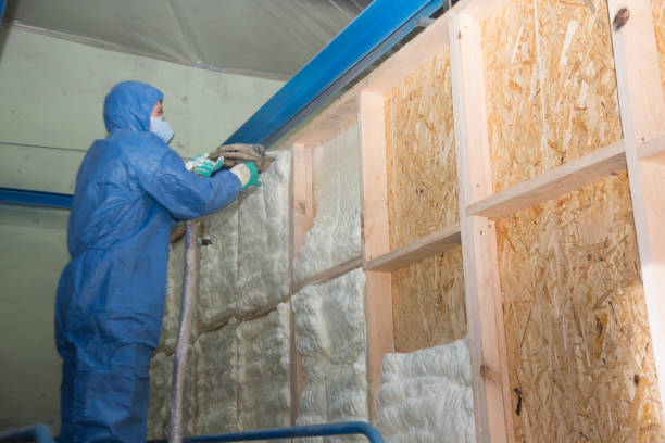 Best Energy-efficient Insulation  in Head Of The Harbor, NY